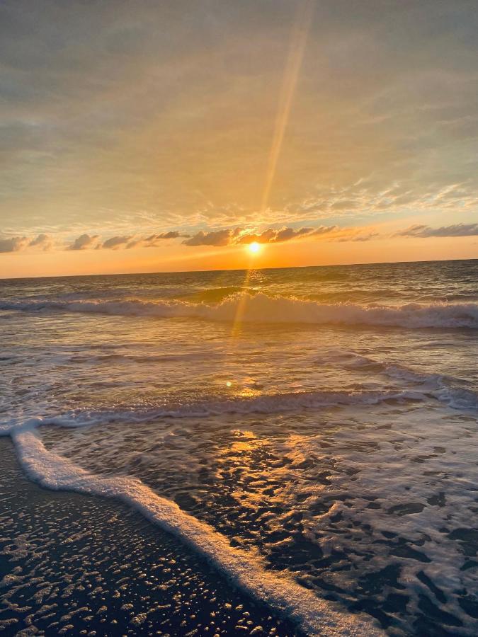 1726 Ocean View Galore Pets Are Welcome Myrtle Beach Extérieur photo